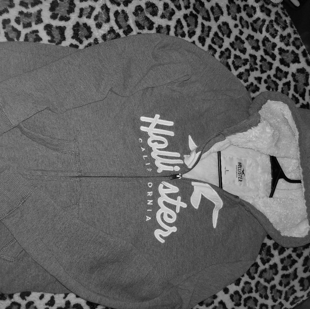 Hollister jacket